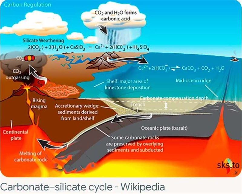 荦荦大者,唯碳独尊:碳元素循环如何塑造我们的生命和星球?(三